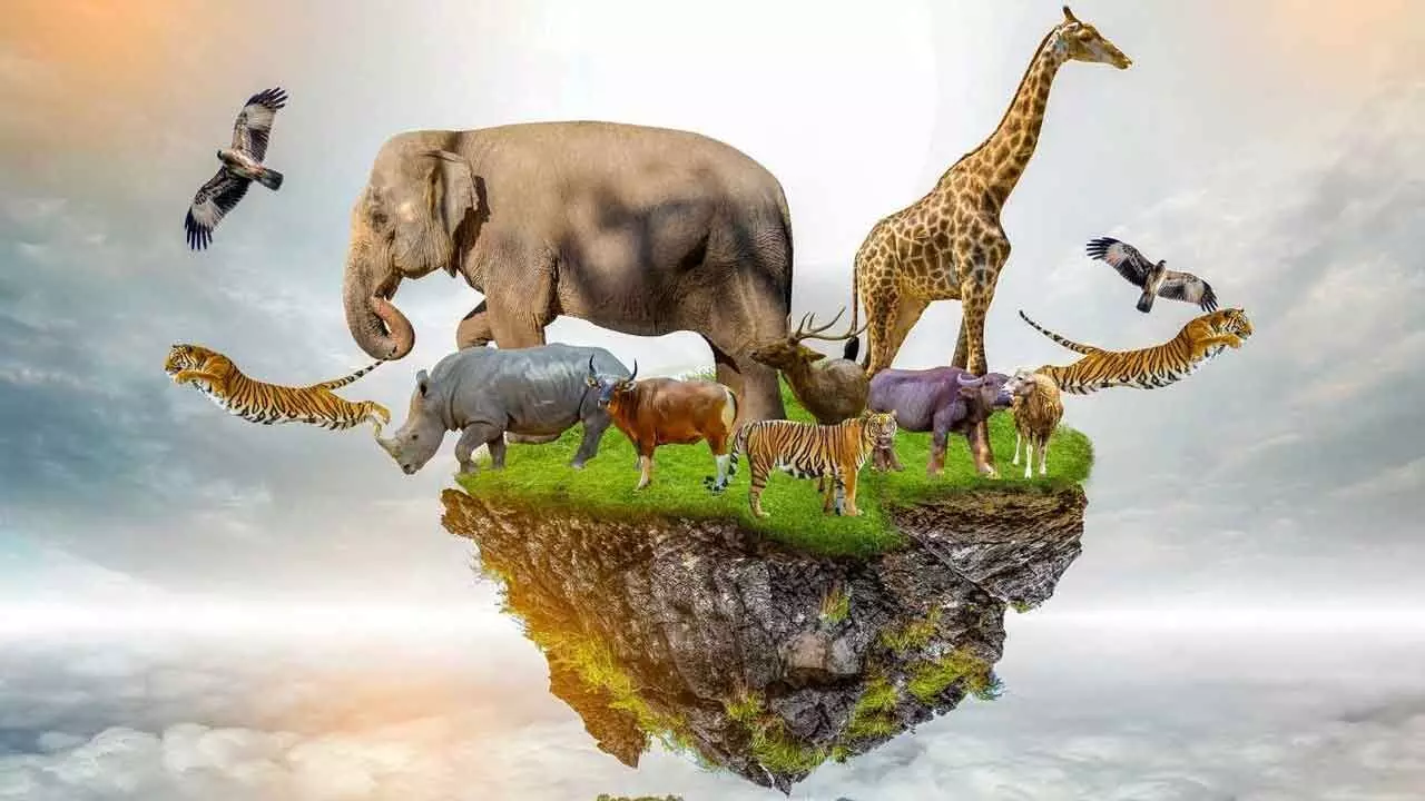 Celebrating wildlife, conservation, and curiosity Celebrating wildlife, conservation, and curiosity