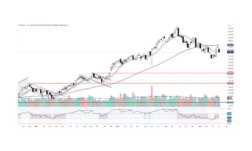 RSI returns to neutral zone on daily, weekly time frames