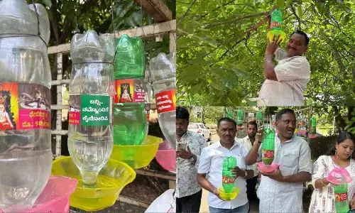 Locals come forward to alleviate heat stress for birds in Shivamogga