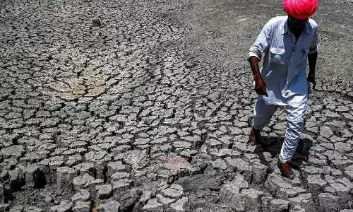 Severe heatwave grips Rajasthan