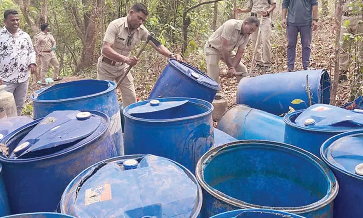 Joint excise raids hit illicit liquor hubs on AP-Odisha border Joint excise raids hit illicit liquor hubs on AP-Odisha border