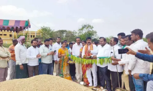 Grain procurement centres inaugurated