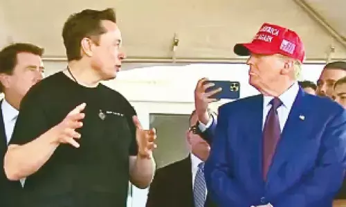 Did Musk ask Trump to roll back tariffs?
