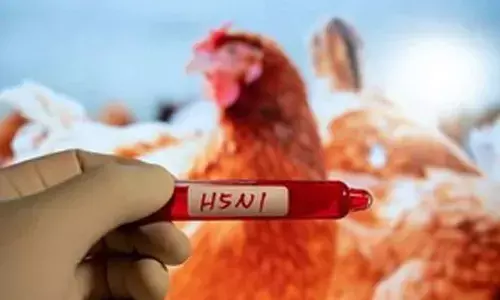 Mexico reports first human death from H5N1 bird flu