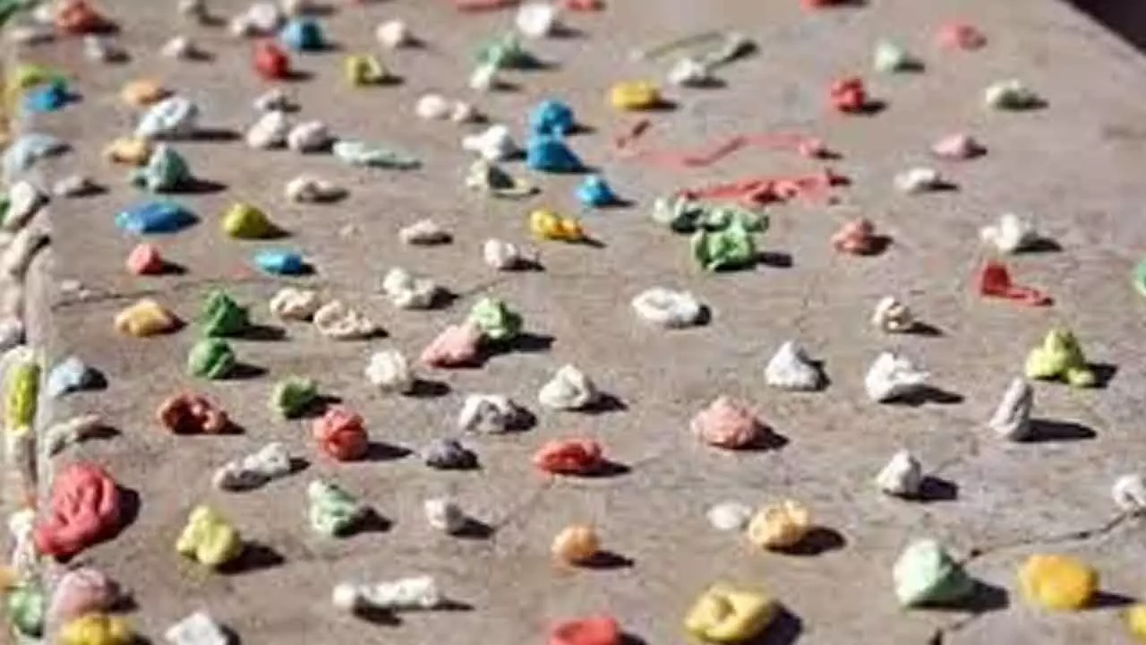 Chewing gum is plastic pollution Chewing gum is plastic pollution