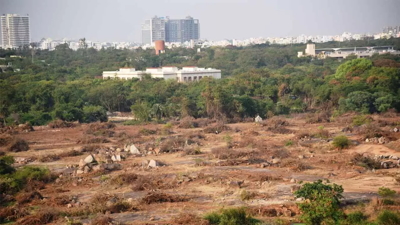 BJP MPs’ meet with UoH V-C, Registrar raises eyebrows BJP MPs’ meet with UoH V-C, Registrar raises eyebrows