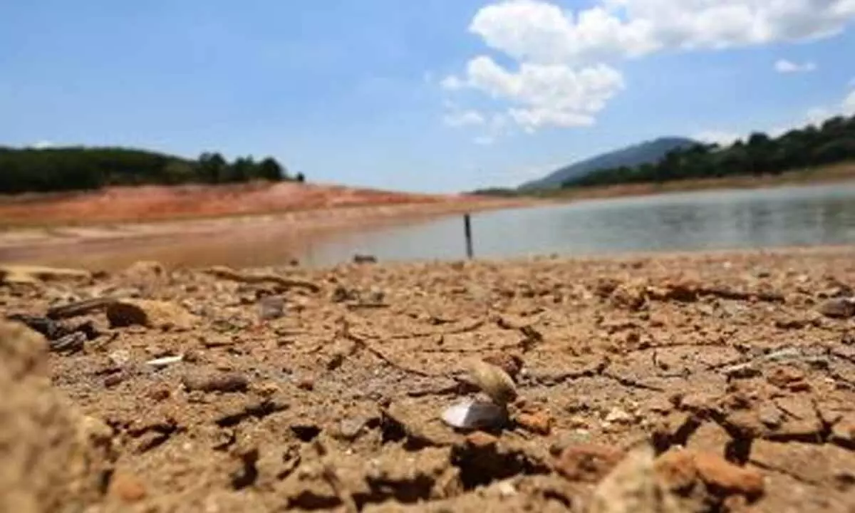 Gujarat can witness one of the hottest years in 2025: Scientists