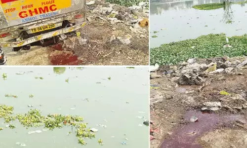 Residents raise alarm as two lakes gasp for breath