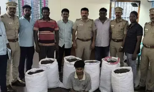 140 kg ganja seized in TN, accused arrested from Andhra Pradesh