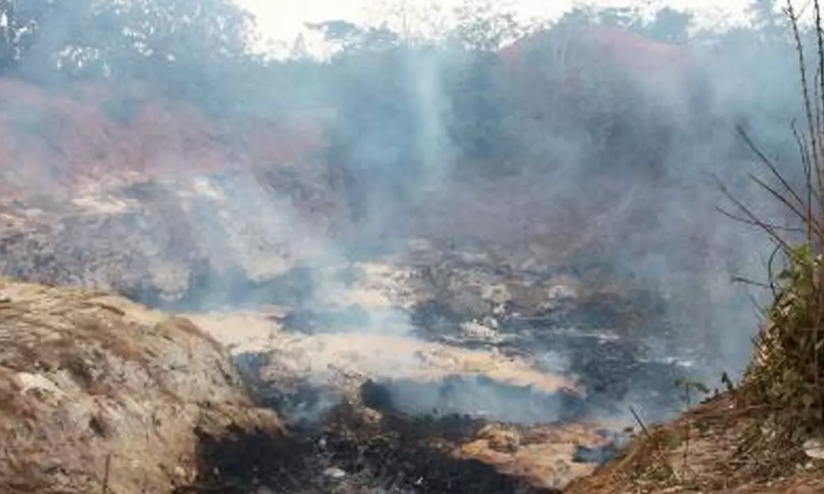 Indian researchers introduce ‘toxicity standard’ of PM2.5 pollution Indian researchers introduce ‘toxicity standard’ of PM2.5 pollution