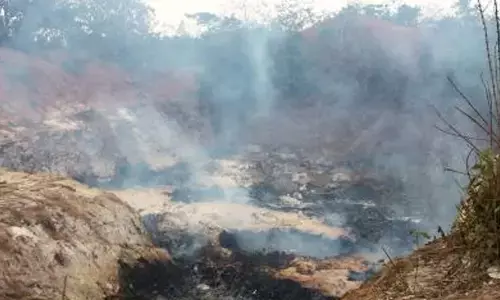 Indian researchers introduce ‘toxicity standard’ of PM2.5 pollution