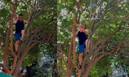 Salman climbing trees at 59 is all the fitness inspiration you need Salman climbing trees at 59 is all the fitness inspiration you need
