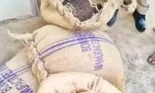 2 Quintals of Fake Cotton Seeds Seized in Narayanpet District: One Held