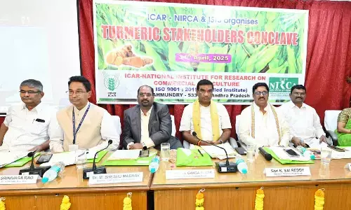 Target to boost turmeric exports to Rs 5,000 cr by 2030