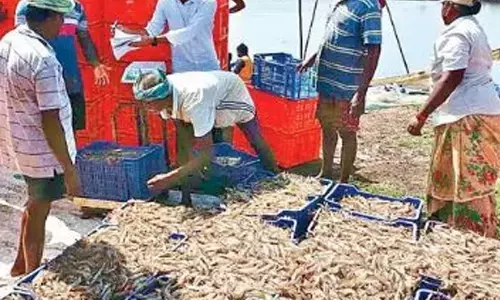 Aqua sector breathes easy with minimum price fixation