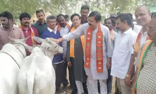 GVL visits villages in Padmanabham mandal