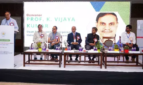 Experts highlight potential of natural hydrogen