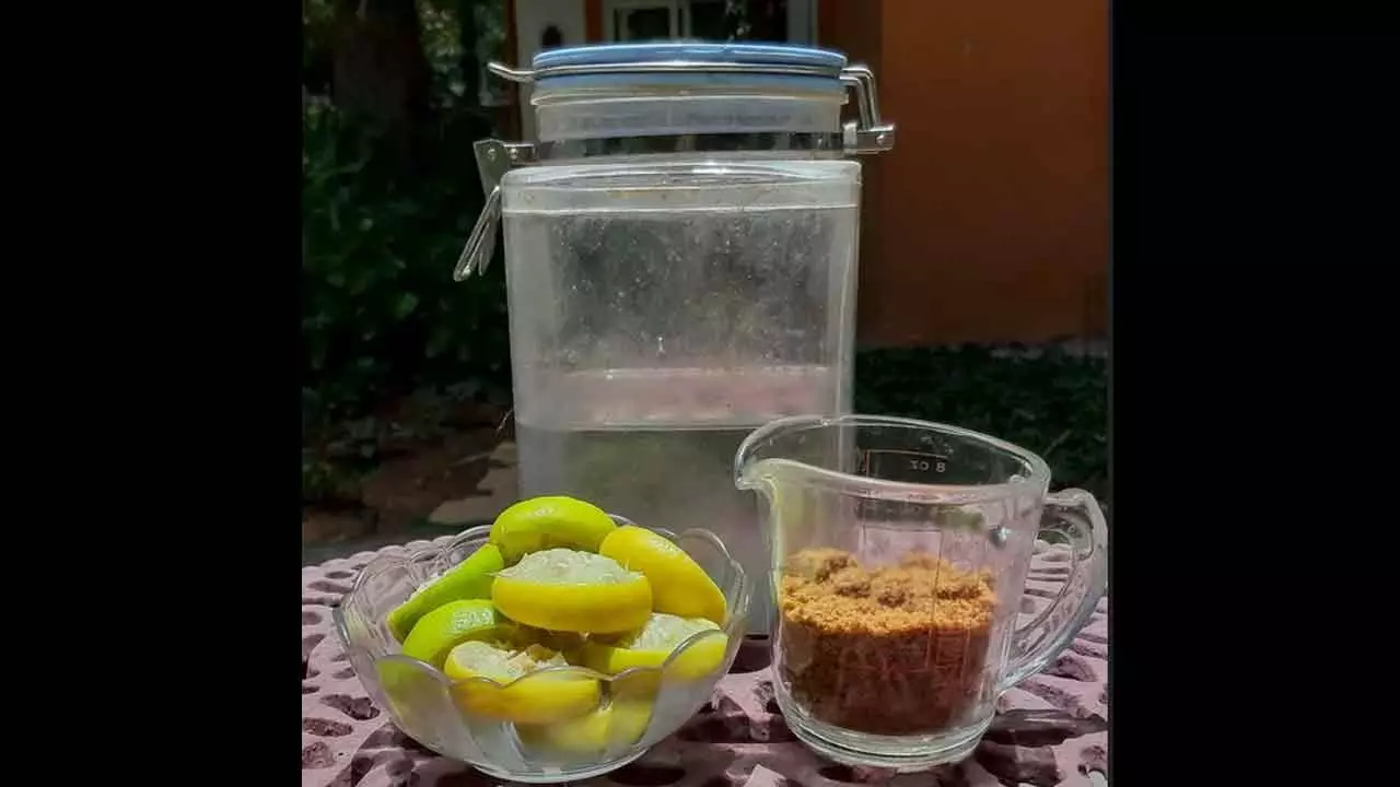 Hyderabad: City NGO plans bio-enzyme drive to keep Barla Kunta lake healthy Hyderabad: City NGO plans bio-enzyme drive to keep Barla Kunta lake healthy