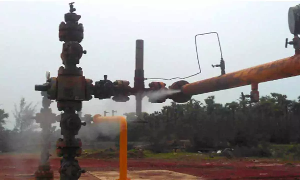 Ammonia gas leak causes Panic in Anantapur village in Nellore