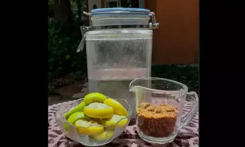 Hyderabad: City NGO plans bio-enzyme drive to keep Barla Kunta lake healthy