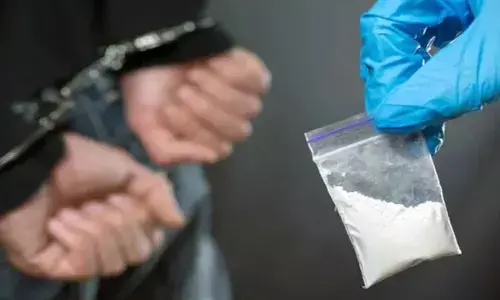 Drug cartel exploiting student visas busted