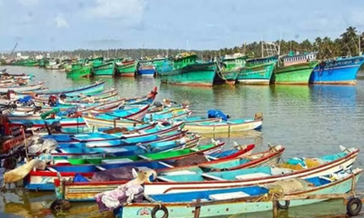 Breeding season: 61-day fishing ban in Tamil Nadu to start on April 15 Breeding season: 61-day fishing ban in Tamil Nadu to start on April 15