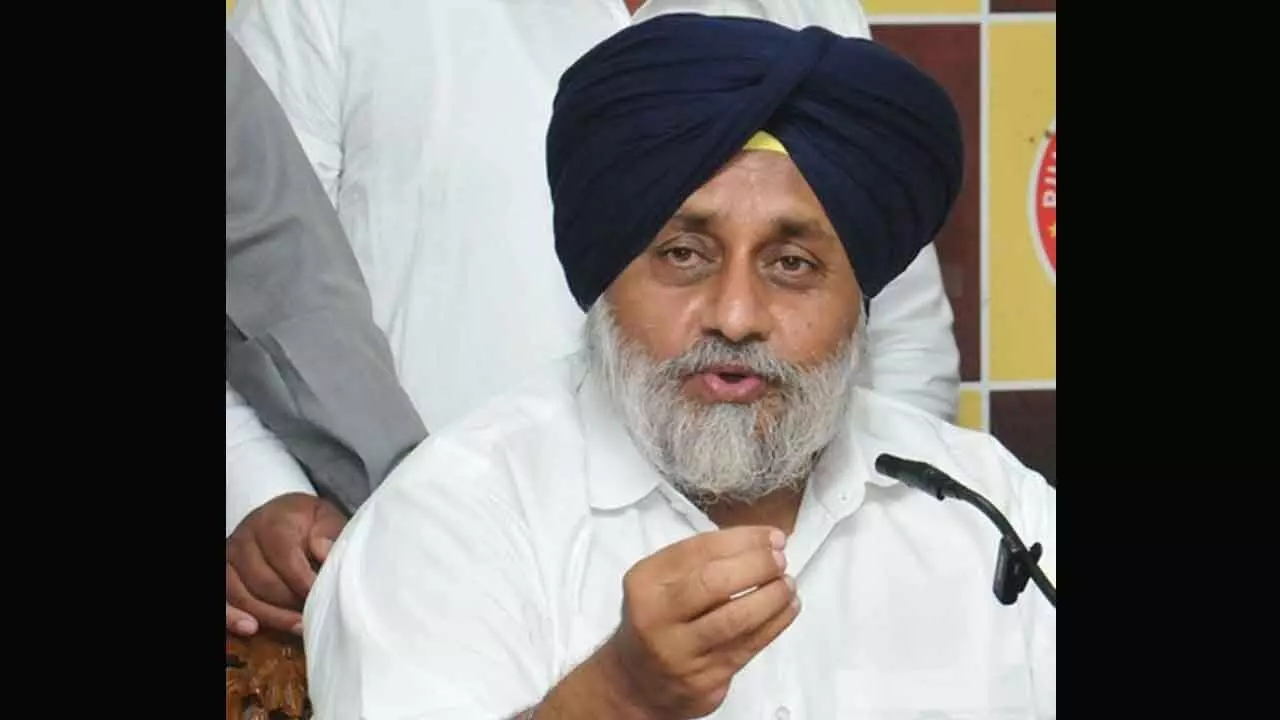 Govt jobs only for Punjabis, says Sukhbir Badal ahead of 2027 Assembly polls Govt jobs only for Punjabis, says Sukhbir Badal ahead of 2027 Assembly polls