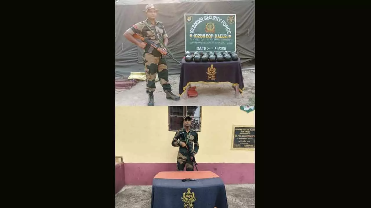 BSF seizes country-made pistol, ganja along India-Bangladesh border BSF seizes country-made pistol, ganja along India-Bangladesh border