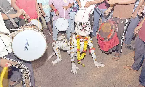 Tiger dancers on the prowl on Berhampur streets