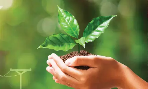 Green energy key to nature’s survival