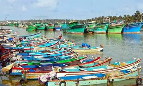Breeding season: 61-day fishing ban in Tamil Nadu to start on April 15