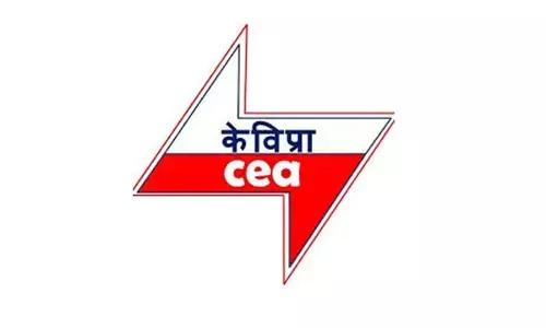 CEA launches new software to help power utilities of states