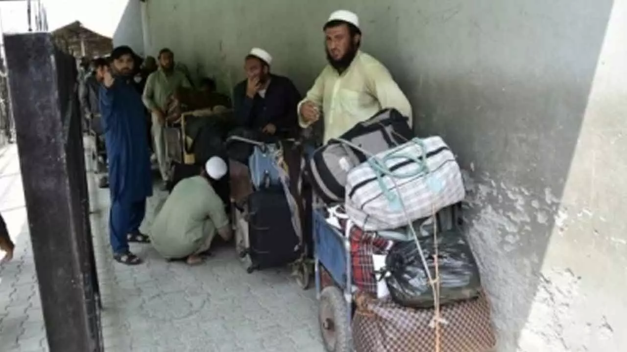 Pakistan expels over 850 Afghan families in single day