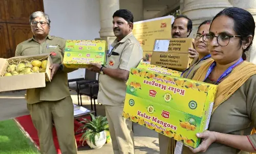 Mango delivery to doorsteps through post