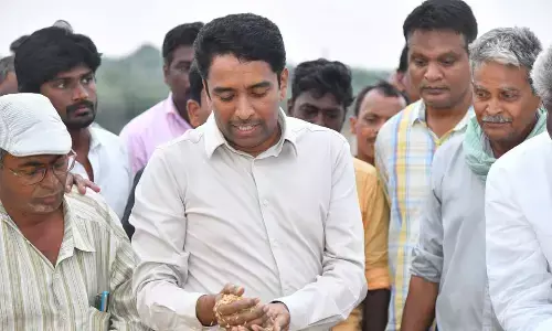 Collector assures farmers purchase of every grain