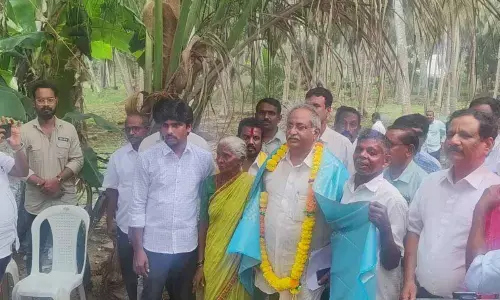 Retired IPS officer to enter politics