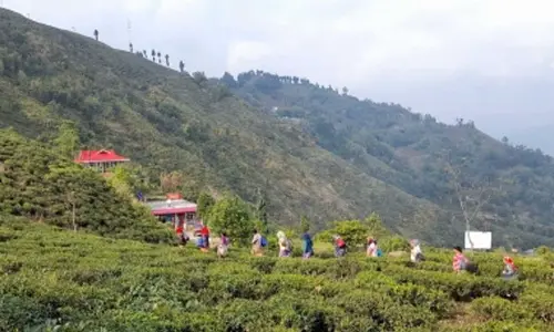 How grassroots innovation can drive India’s economic transformation