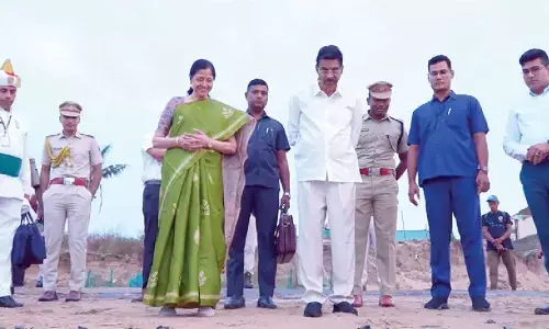 Guv witnesses seaward journey of turtle hatchlings