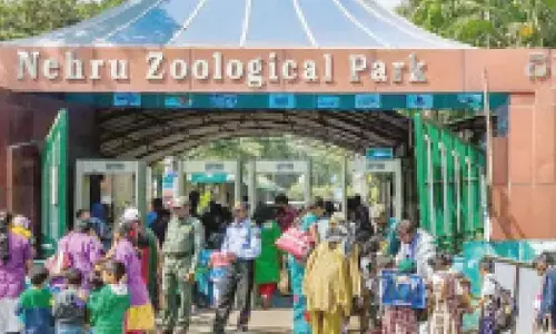 Nehru zoo visitors fret over ticketing trauma