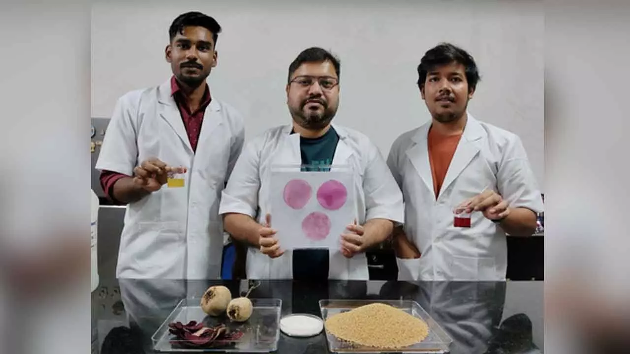 NIT Rourkela develops smart packaging from kodo millet and beetroot to keep seafood fresh NIT Rourkela develops smart packaging from kodo millet and beetroot to keep seafood fresh