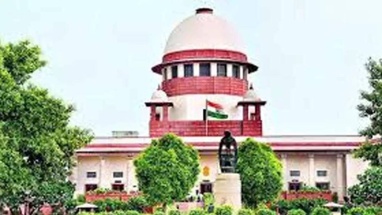 Cancel hospital’s licence if newborn goes missing: SC