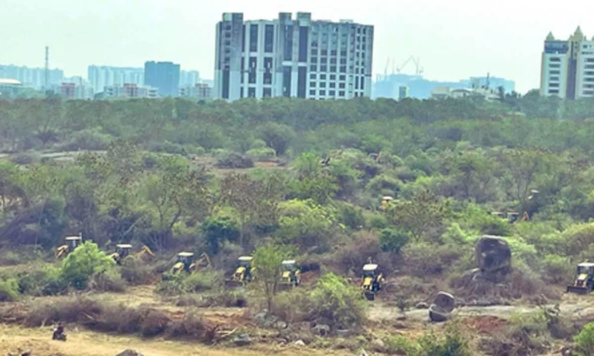 Not a single tree: SC extends stay on deforestation near Hyderabad University Not a single tree: SC extends stay on deforestation near Hyderabad University