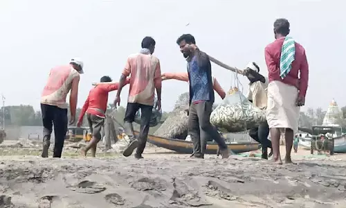 Govt bans fishing for 61 days