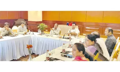 CEA chief assures leg-up to TG power companies