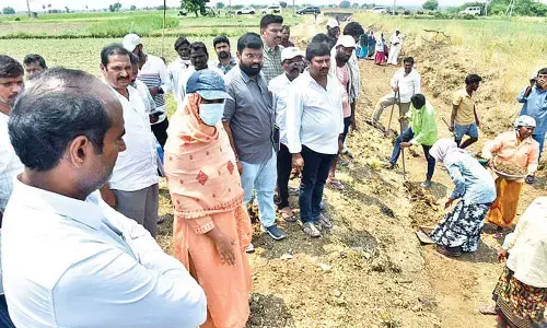 Collector inspects MGNREGA works