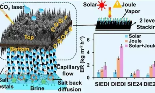 IIT Bombay scientists develop lotus leaf-like solar evaporators for saltwater treatment