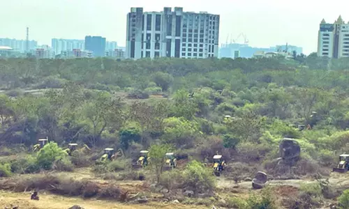 Not a single tree: SC extends stay on deforestation near Hyderabad University