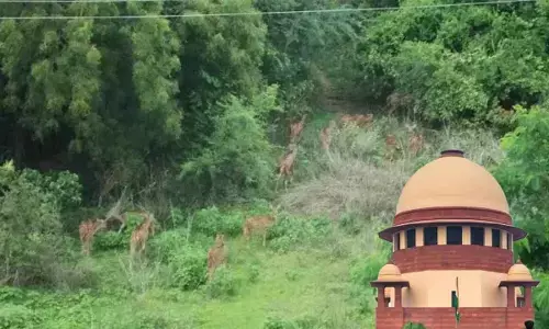 Will go out of way to protect environment: SC