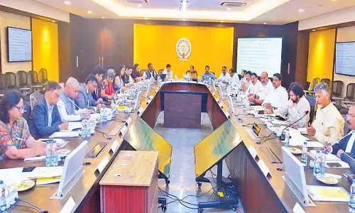 CM pitches AP lifeline to Finance Commission