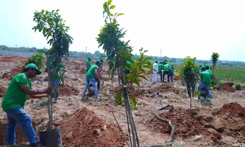 Brihaspathi Technologies Limited Employees Pay Tribute to Padma Shri Daripalli Ramaiah by Planting Over 600 Saplings